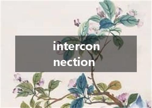 interconnection是什么意思