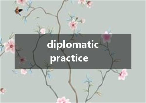 diplomatic practice是什么意思