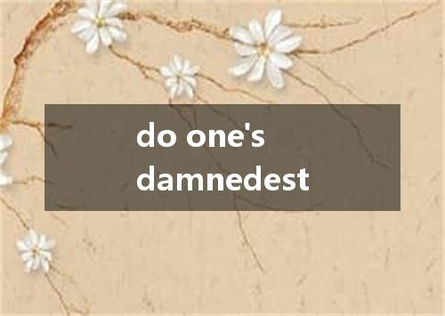 do one's damnedest是什么意思