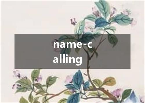 name-calling是什么意思
