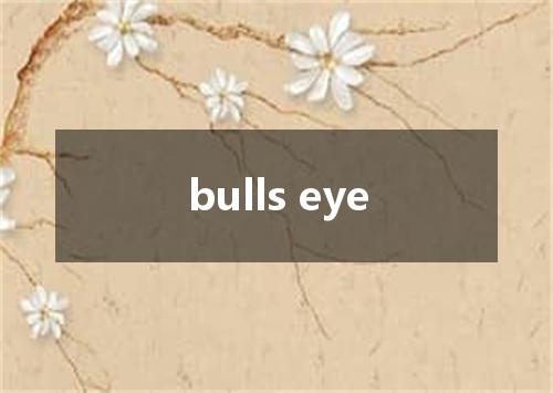bulls eye是什么意思