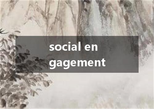 social engagement是什么意思