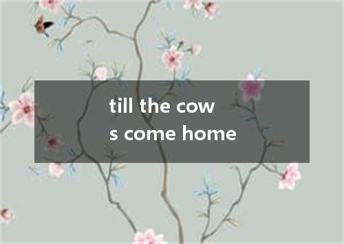 till the cows come home是什么意思