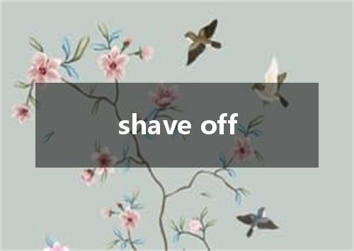 shave off是什么意思