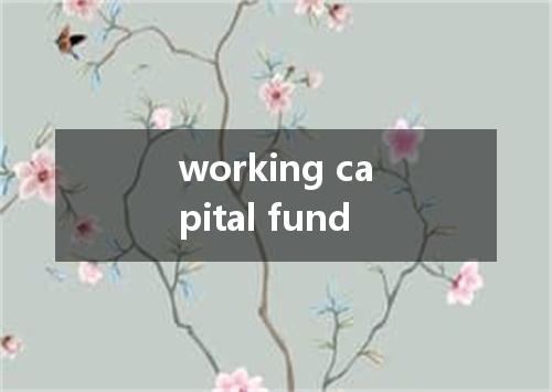 working capital fund是什么意思