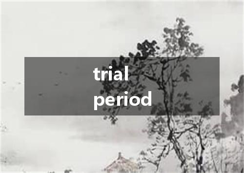 trial period是什么意思