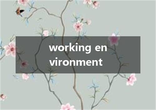 working environment是什么意思