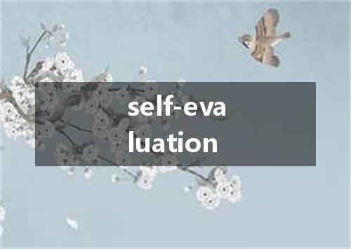 self-evaluation是什么意思