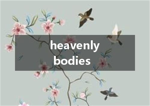 heavenly bodies是什么意思