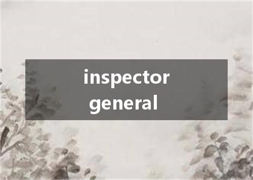 inspector general是什么意思