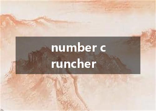 number cruncher是什么意思