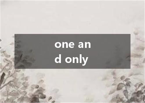 one and only是什么意思