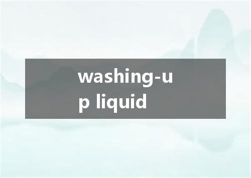 washing-up liquid是什么意思