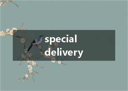 special delivery是什么意思