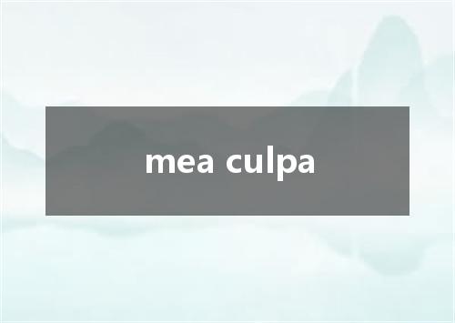 mea culpa是什么意思