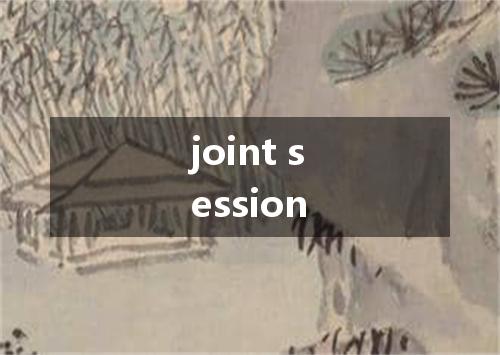 joint session是什么意思