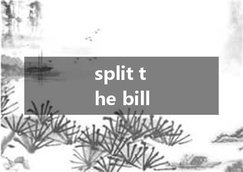 split the bill是什么意思