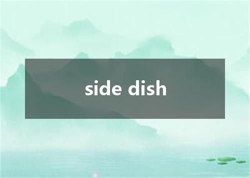 side dish是什么意思