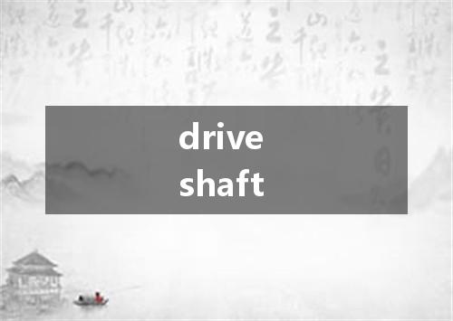 drive shaft是什么意思