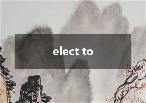 elect to是什么意思