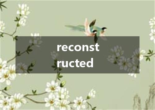 reconstructed是什么意思