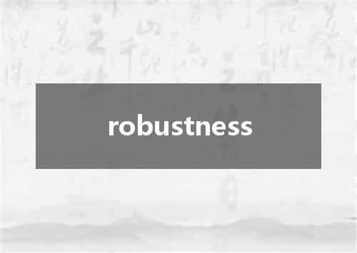 robustness是什么意思