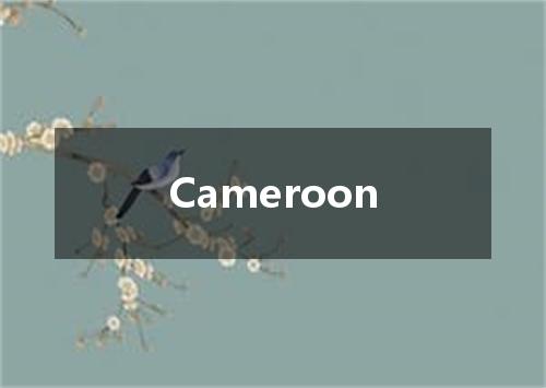 Cameroon是什么意思
