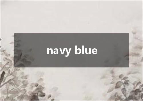 navy blue是什么意思