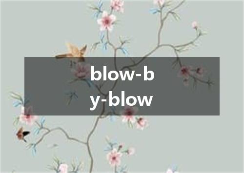 blow-by-blow是什么意思
