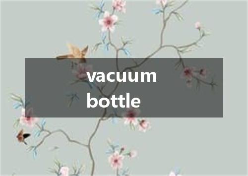 vacuum bottle是什么意思