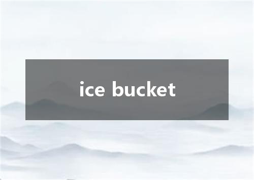 ice bucket是什么意思