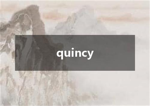 quincy是什么意思