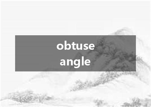 obtuse angle是什么意思