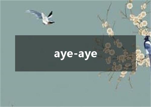 aye-aye是什么意思