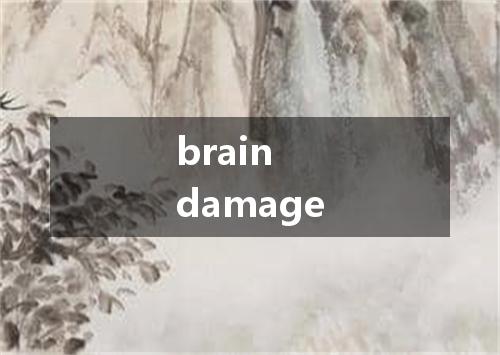 brain damage是什么意思