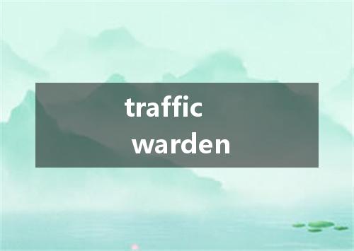 traffic warden是什么意思