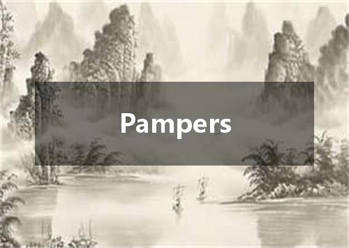 Pampers是什么意思