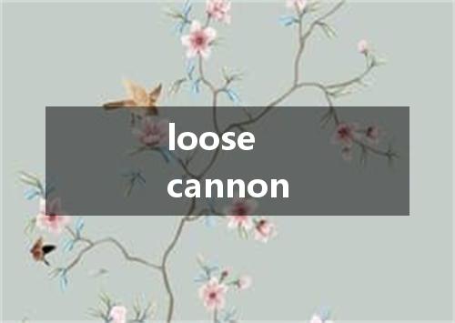 loose cannon是什么意思