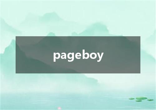 pageboy是什么意思