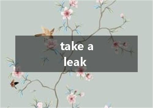 take a leak是什么意思
