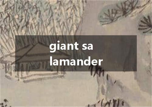 giant salamander是什么意思