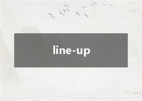 line-up是什么意思