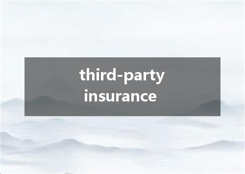 third-party insurance是什么意思
