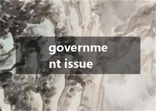 government issue是什么意思