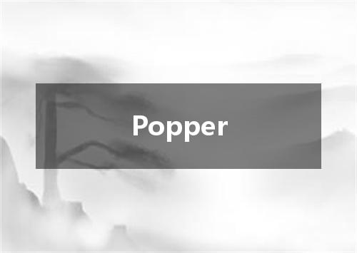 Popper是什么意思