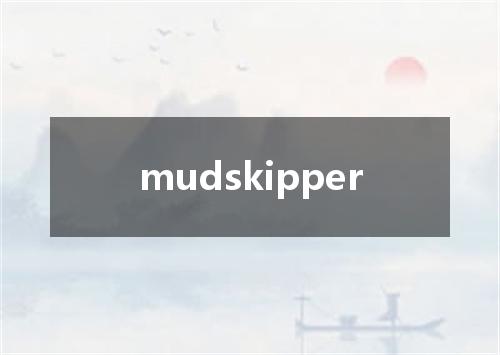 mudskipper是什么意思