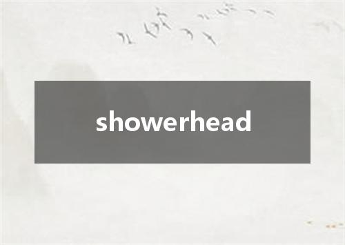 showerhead是什么意思