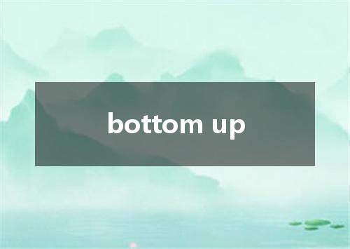 bottom up是什么意思
