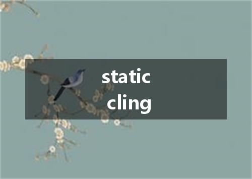 static cling是什么意思