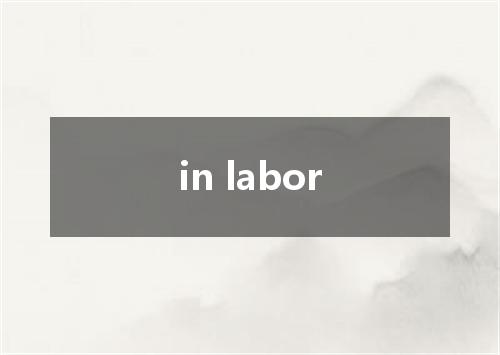 in labor是什么意思